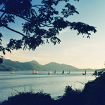 KM-22 Fleet of Junks off Lantau Island -  1972