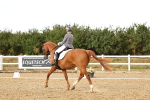 SBM_007407