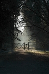 Sunlit Gateway - II