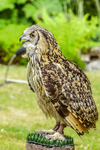 0628 IMG_6548
