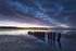 Old Timber Groynes At Sunrise.