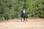 WJ6_7315