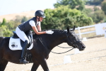 SBM_020206