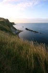 Dorset Coast _DO020