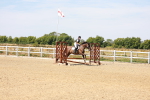 SBM_000993