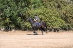 WJ6_6777