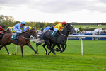 171026-Race 5-Brighton Boy-5979