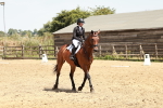 SBM_003531