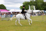 SBM_02983