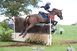 Rider 560 to 569 portfolio