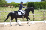 Class 6 - Novice 2 portfolio