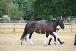 WJ6_7849