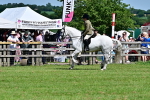 SBM_08040