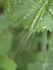 20140529_0082