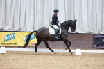 SBM_003447