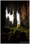 The Stalactite Cave, Larrybane (IMG0375)