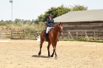 SBM_003585