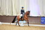 SBM_003853