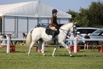 JPP_1584