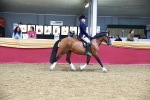 SBM_17934