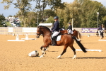 SBM_27018