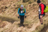 Loughrigg-982