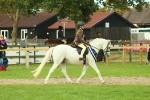 SBM_75237
