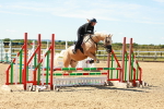 SBM_005529