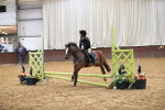 Class 1 - Show Jumping 50cm portfolio