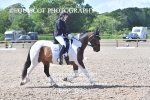 BPP_0781