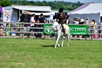 SBM_07793