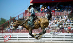 3HRodeo_CFD_JUL_18_2026_04110