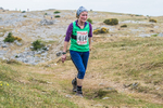 Hutton Roof-617