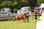 SBM_01771