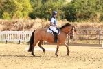 SBM_000054
