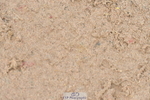 230511A-143345-00954