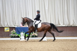 SBM_006309