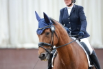 Class 11-8 - PYO- Novice 4 portfolio