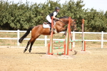 SBM_000688