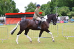 SBM_02599