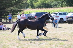 WJ6_4877
