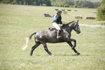 BVHT 140517  NXC -577
