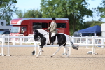 SBM_16735