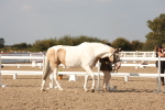 SBM_08129