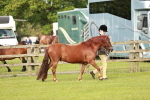 SBM_00421