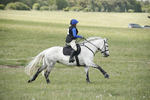 BVHT 140517  NXC -527