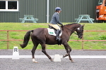 SIAL8755