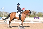 Cls 22 BD Young Horse Prelim 5 YO portfolio