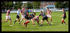 Fylde Rugby 2017-6