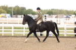 SBM_02909